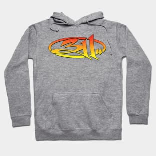 311 logo Hoodie